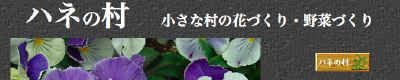 ピクチャ 13.png